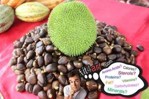 how many calories are in a breadnut tree seed