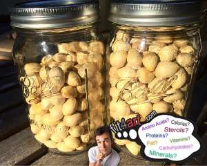 what minerals are in canned ginkgo nuts