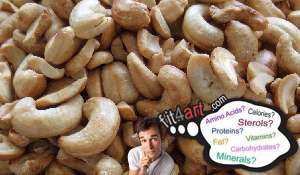 what amino acids are in dried brazil nuts