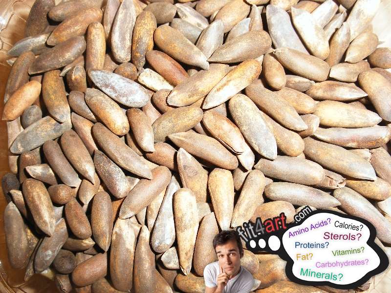 How many carbs are in dried pine nuts?