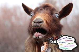 what vitamins are in a goat