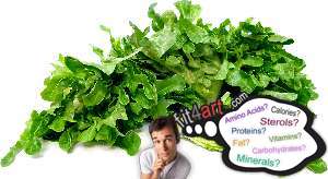 how many carbs are in a green leaf of lettuce