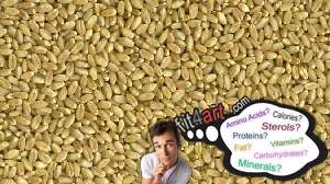 how many calories are in a hard white wheat