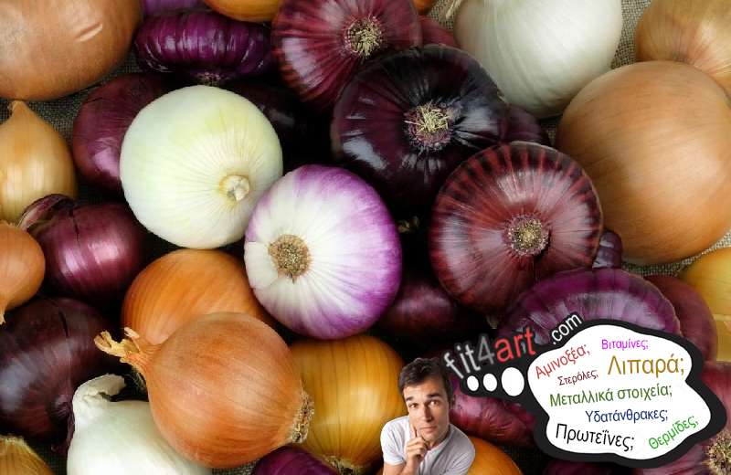 Πόσες θερμίδες έχουν τα κρεμμύδια; ποσες θερμιδες εχουν τα κρεμμυδια