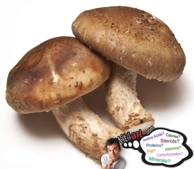 How Many Calories Are In A Mushroom Shiitake