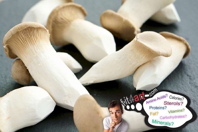 how-many-carbs-are-in-an-oyster-mushroom