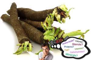 salsify fat
