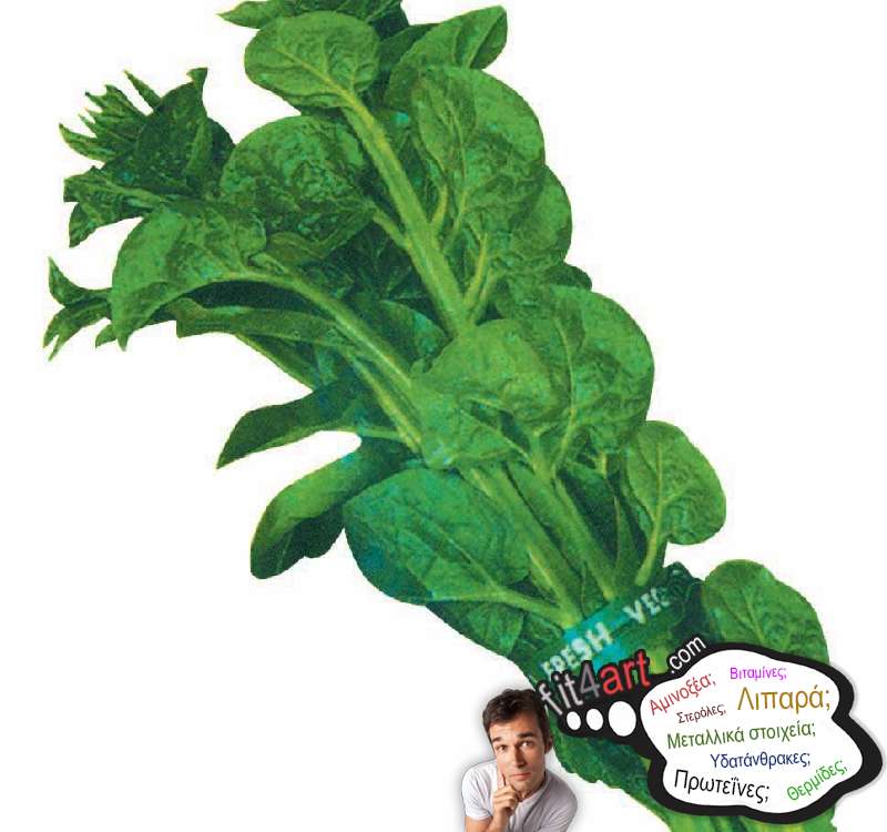 Πόσους υδατάνθρακες έχει το σπανάκι basella; ποσους υδατανθρακες εχει το σπανακι basella