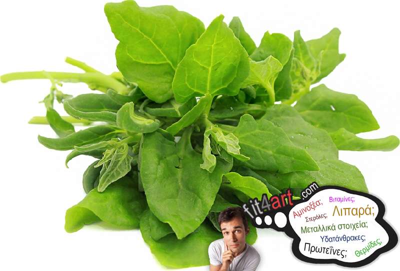 Τι βιταμίνες έχει το σπανάκι Νέας Ζηλανδίας; τι βιταμινες εχει το σπανακι νεας ζηλανδιας