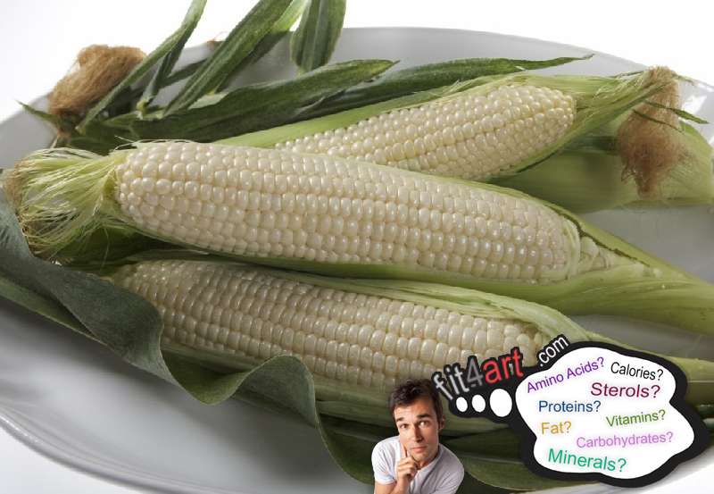 Sweet white corn nutritional value and information