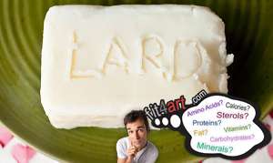 what fat is in the lard