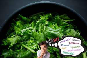 turnip greens fat