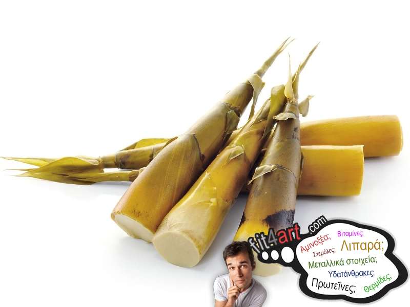 Πόσους υδατάνθρακες έχουν οι βλαστοί μπαμπού; ποσους υδατανθρακες εχουν οι βλαστοι μπαμπου