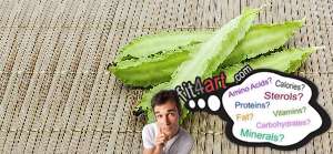 What minerals are in a winged bean tuber?